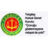 Çocuğu göstermeyene velayet de yok! 