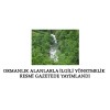  Ormanlık alanlarla ilgili yönetmelik Resmi Gazete yayımlandı.