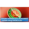 YARGITAY HUKUK GENEL KURULU E. 2015/18-1302 K. 2015/1344 T. 15.5.2015