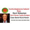 Cumhurbaşkanına hakaret suçu, devri Suleyman, devri RTE