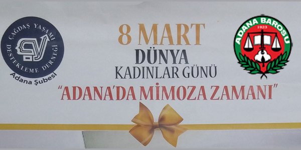 ADANA'DA MİMOZA ZAMANI