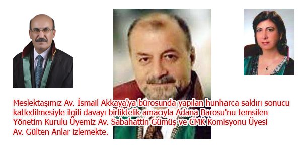 Mesleki dayanışma 