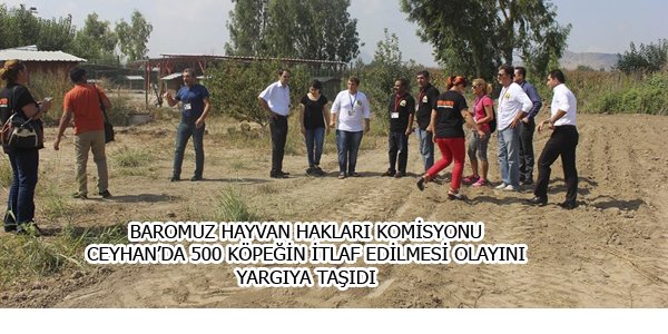 CEYHAN'DA 500 KÖPEĞİN İTLAF EDİLMESİ OLAYINI YARGIYA TAŞIDI