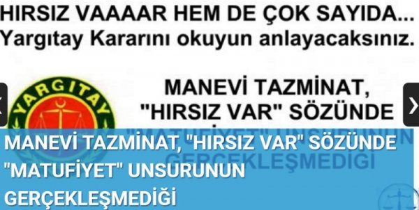 HIRSIZ VAAAAR HEM DE ÇOK SAYIDA..