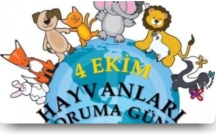 4 Ekim Dünya Hayvanları Koruma Günü-03.10.2016